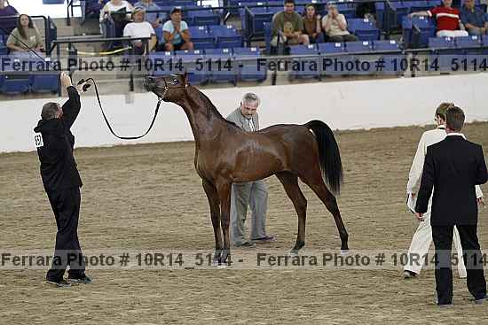 Proof 10r14_5114