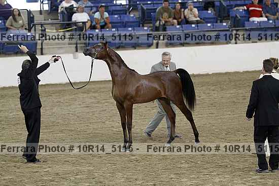 Proof 10r14_5115