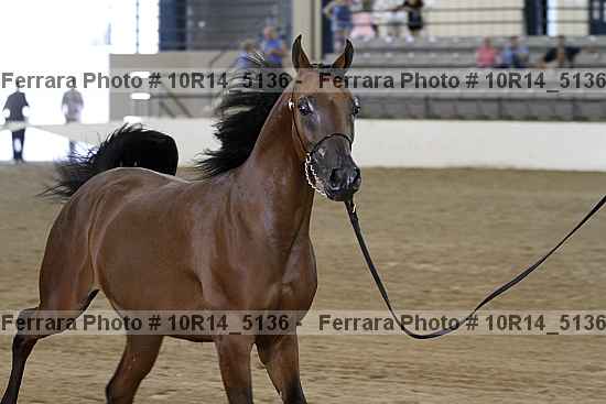 Proof 10r14_5136
