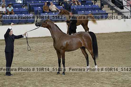 Proof 10r14_5142
