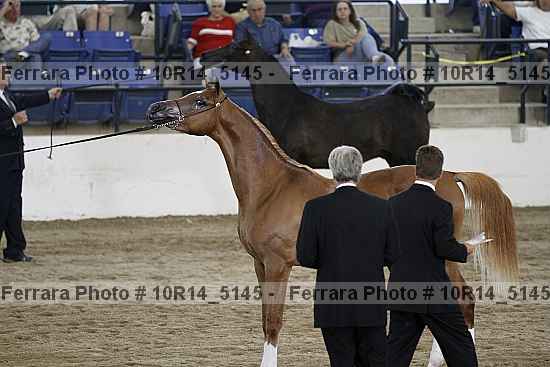 Proof 10r14_5145