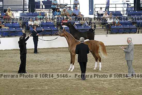 Proof 10r14_5146