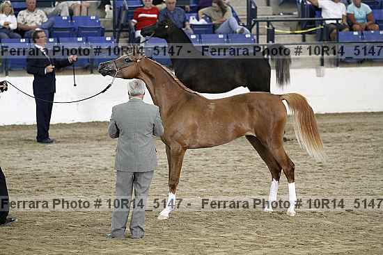 Proof 10r14_5147