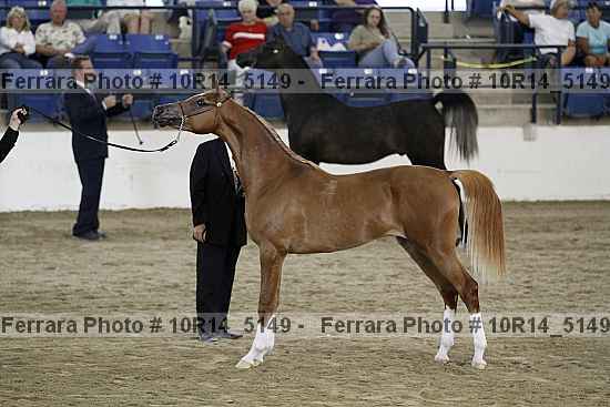 Proof 10r14_5149