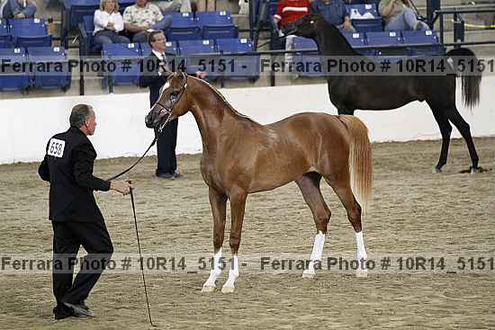 Proof 10r14_5151