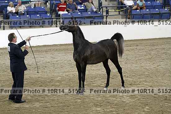 Proof 10r14_5152
