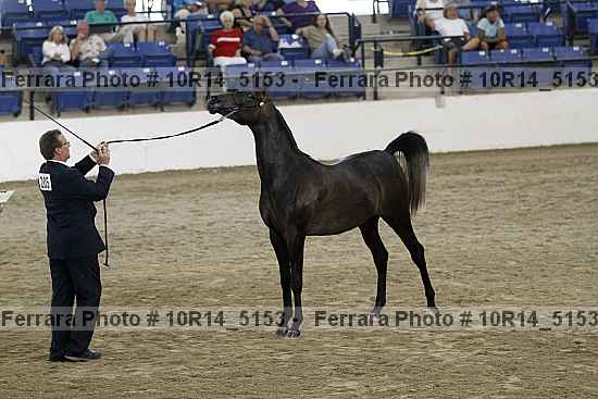 Proof 10r14_5153