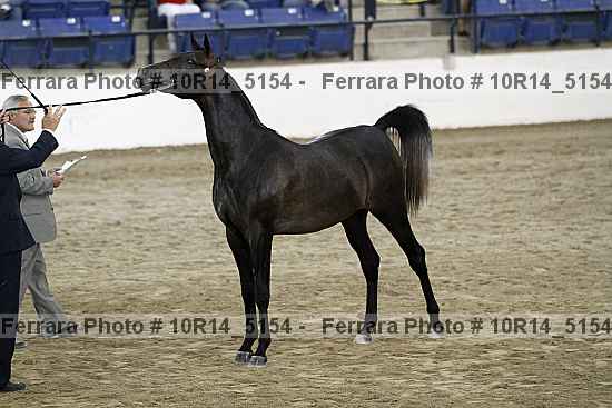 Proof 10r14_5154