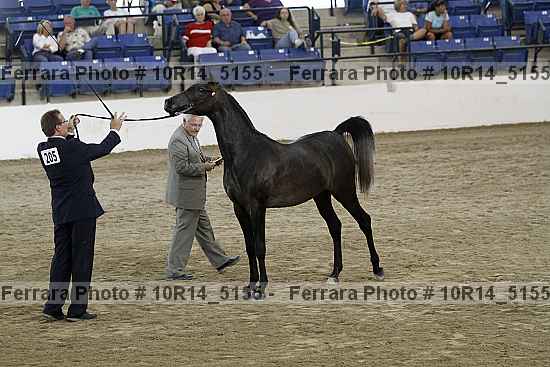 Proof 10r14_5155