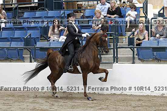 Proof 10r14_5231