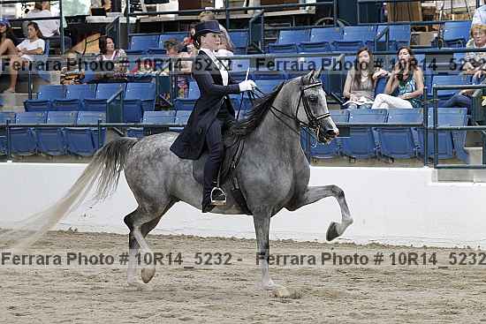 Proof 10r14_5232