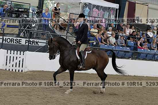 Proof 10r14_5293