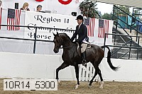 10r14_5300 proof
