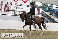 10r14_5302 proof