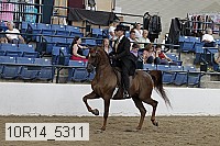 10r14_5311 proof