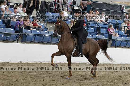Proof 10r14_5319