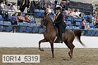 10r14_5319 proof