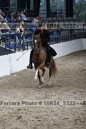 Proof 10r14_5322