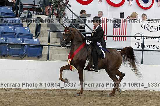 Proof 10r14_5337
