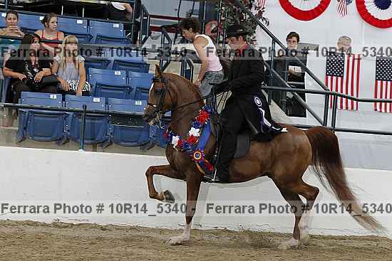 Proof 10r14_5340