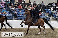 10r14_5389 proof