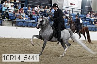 10r14_5441 proof
