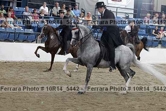Proof 10r14_5442