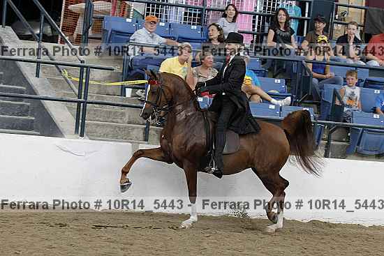 Proof 10r14_5443