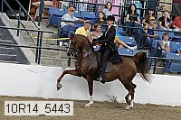 10r14_5443 proof