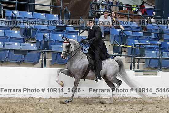 Proof 10r14_5446