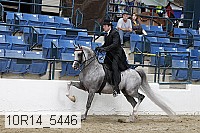 10r14_5446 proof