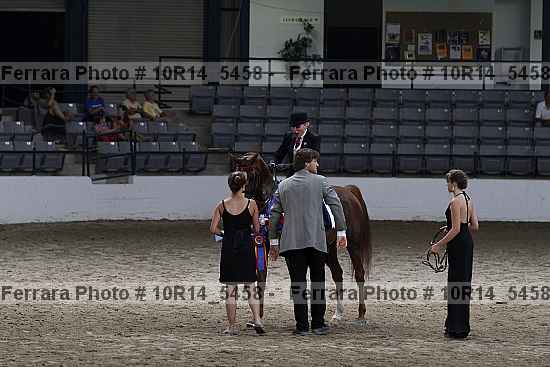 Proof 10r14_5458