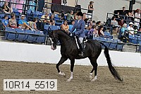 10r14_5519 proof