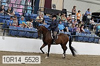 10r14_5528 proof