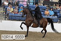 10r14_5559 proof