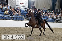 10r14_5568 proof