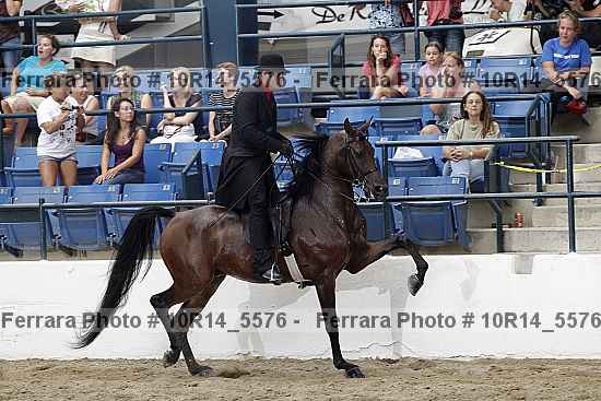Proof 10r14_5576