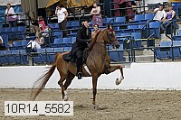 10r14_5582 proof