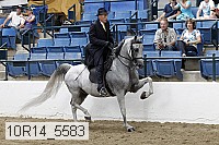 10r14_5583 proof
