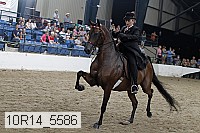10r14_5586 proof