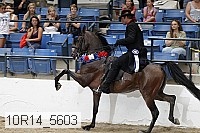 10r14_5603 proof