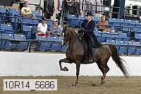10r14_5686 proof