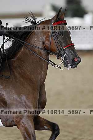 Proof 10r14_5697