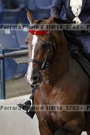 Proof 10r14_5703