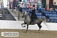 _89e8305 proof