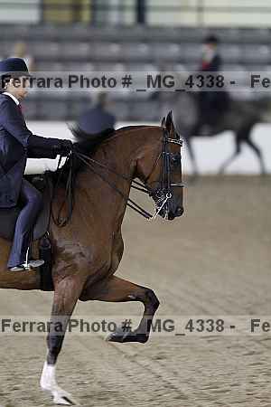 Proof _mg_4338
