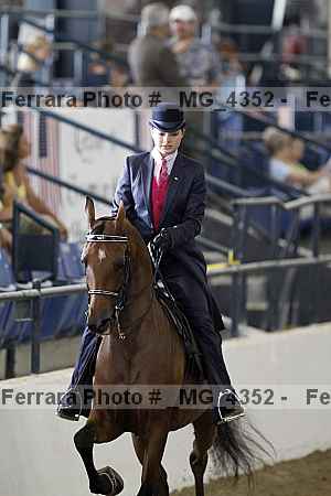 Proof _mg_4352