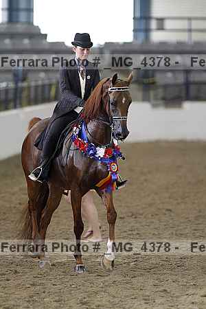 Proof _mg_4378