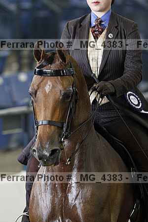 Proof _mg_4383
