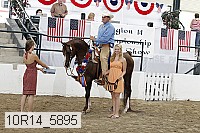 10r14_5895 proof
